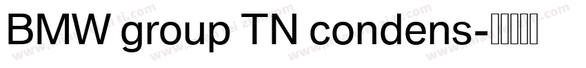 BMW group TN condens字体转换